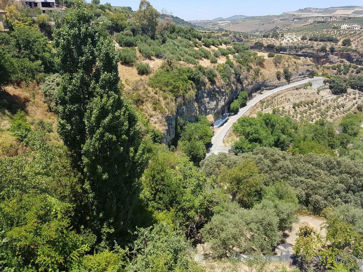 Casa Primavera Leilighet Setenil De Las Bodegas Eksteriør bilde