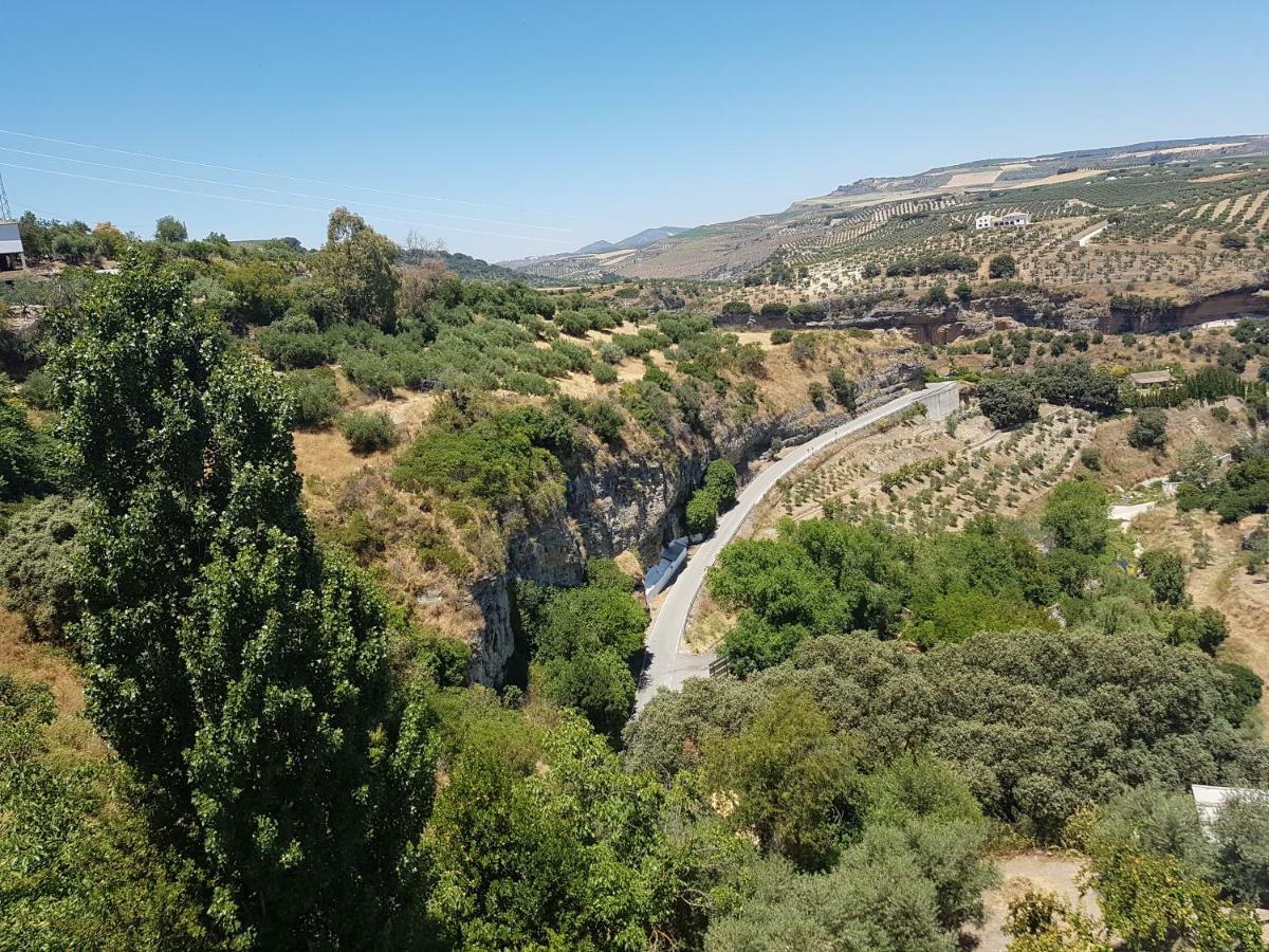 Casa Primavera Leilighet Setenil De Las Bodegas Eksteriør bilde
